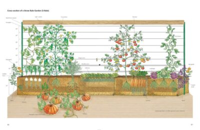 straw bale garden trellis illustration