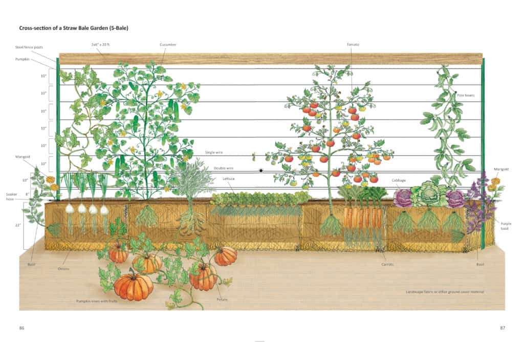 straw bale garden trellis illustration