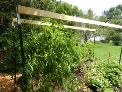 straw bale gardening trellis