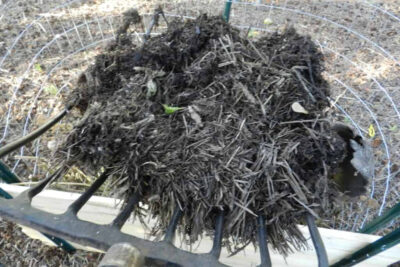 straw bale gardening bale conditioning