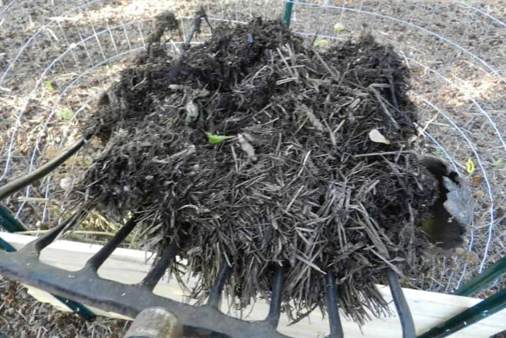 straw bale gardening bale conditioning