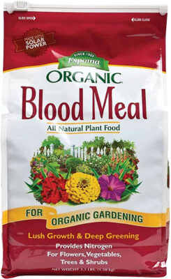 blood meal