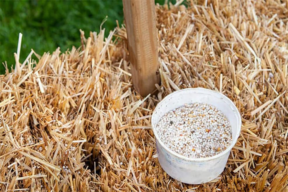 straw bale garden conditioning