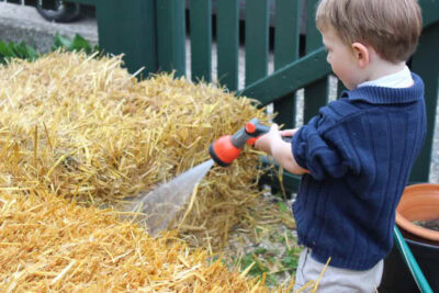Straw Bales cut side up