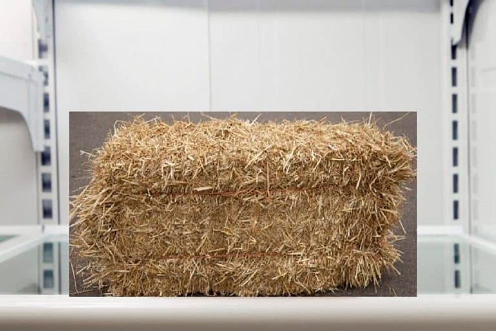 Bale in the fridge