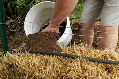 straw bale garden prep